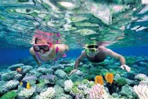 Phu Quoc Snorkeling & Fishing To the South